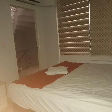 Troia Ador Pan